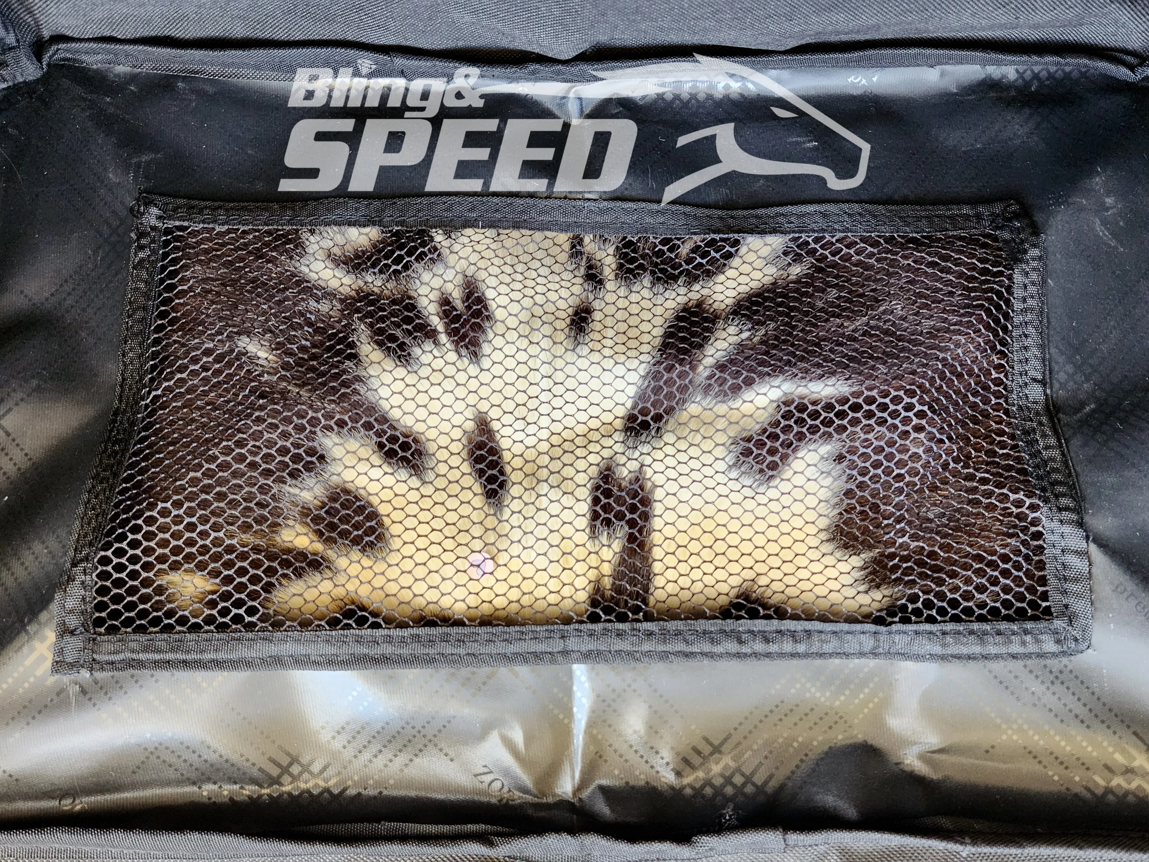 Boot Bag, Grooming Bag, Beach Bag, Pool Bag... the everything bag!
