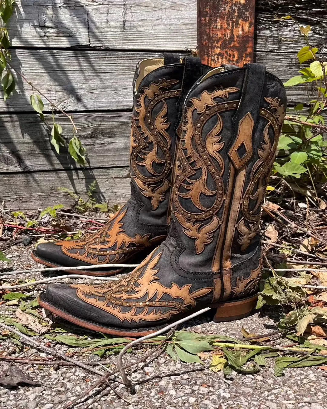 Corral Men's Black & Honey Brown Leather Overlay Snip Toe Cowboy Boots C3989