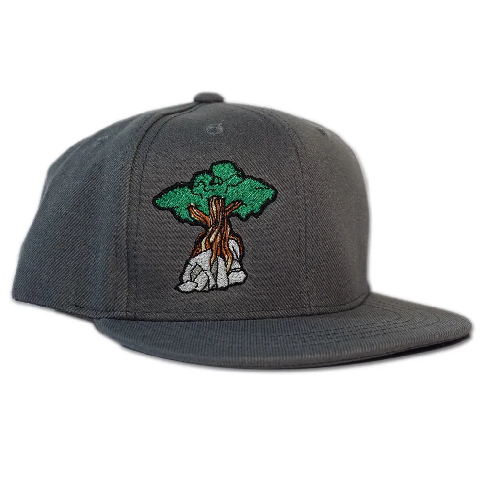 Juniper Tree - Youth Snapback Hat - Charcoal Grey