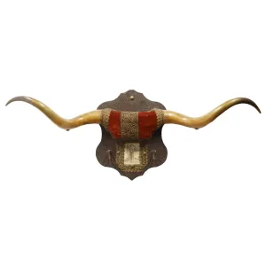 Longhorn Hat Rack