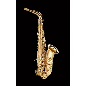 Schagerl Superior 1L Eb Alto Saxophone – Lacquered finish
