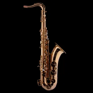 Schagerl Superior PRO 2L Bb Tenor Saxophone – Lacquered finish