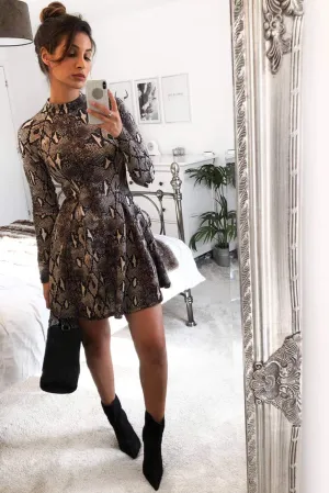 Snake Print Skater Dress