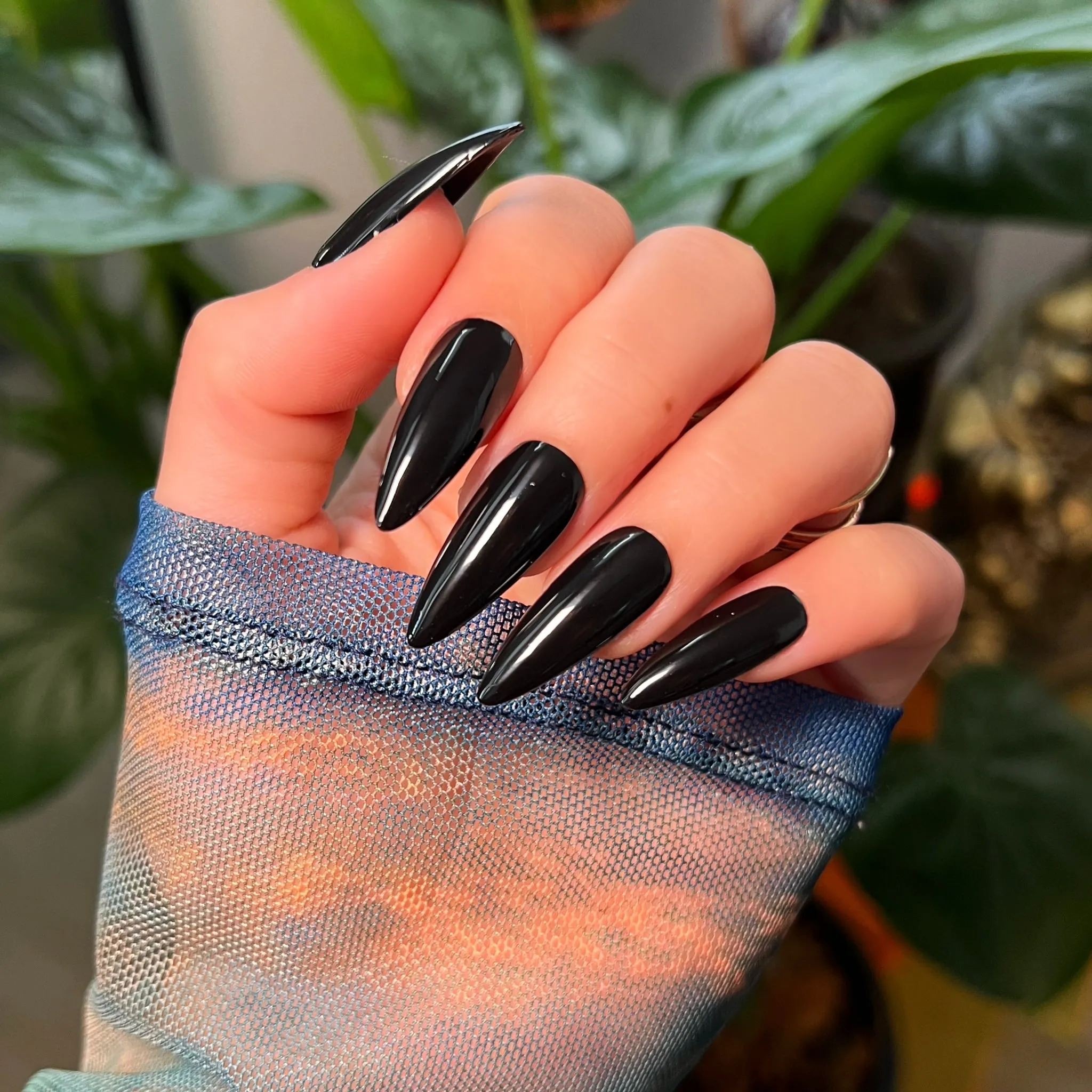 YANG - black
