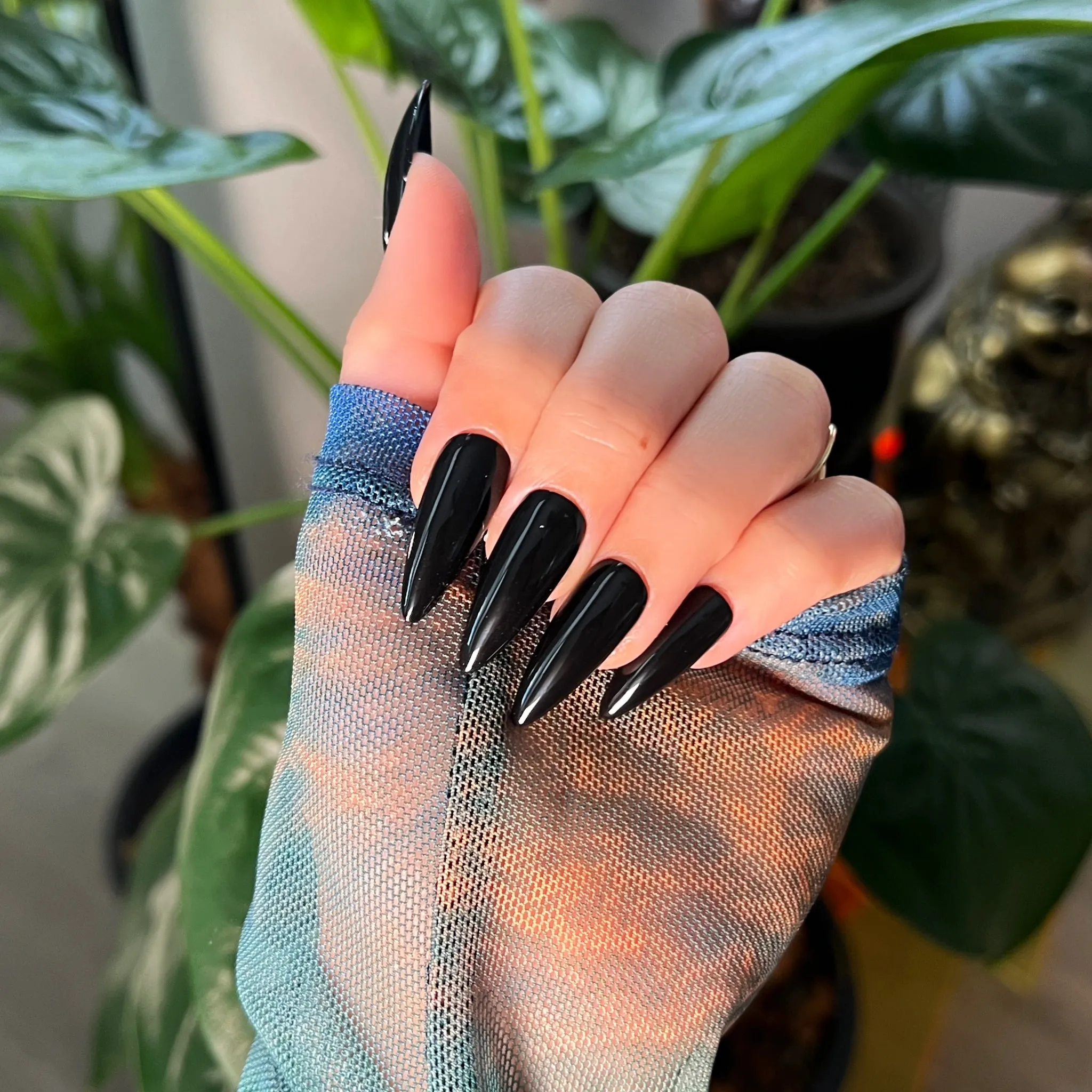 YANG - black